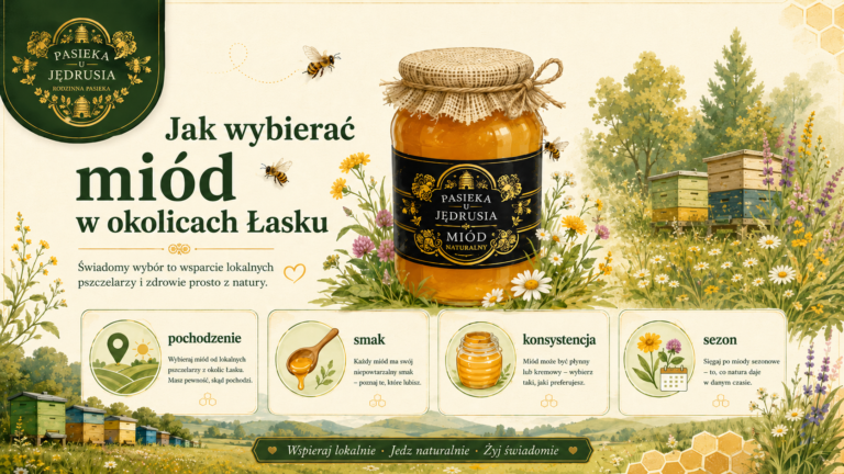 Pasieka w regionie Łasku – co sprawdzić, zanim  kupisz miód?